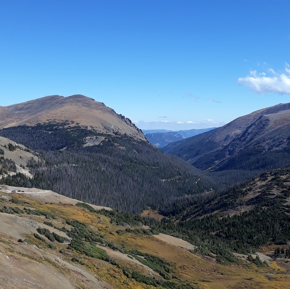 Meet your Posher, Debbie🔆Posh Ambassador🔆 - Picture 5 of 12